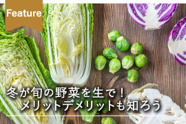 japan x,JAPAN X,ジャパンエックス,冬の生野菜