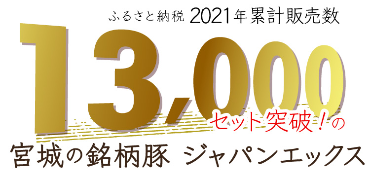 JAPAN X,ジャパンエックス,JAPAN X,生姜焼きセット,2～3人で調度いい400gのセット,ふるさと納税で13,000セット売れた宮城の銘柄豚,
