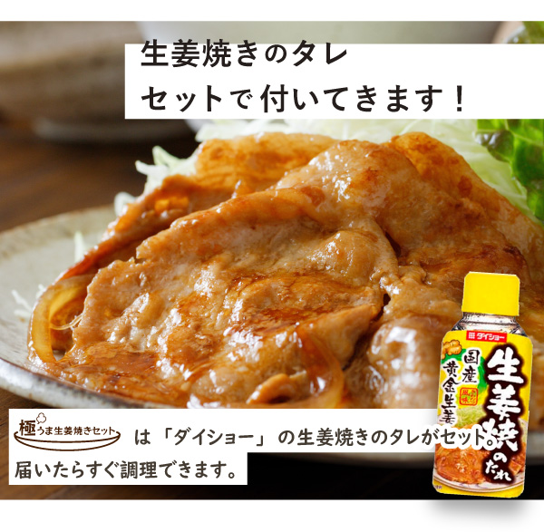 JAPAN X,ジャパンエックス,JAPAN X,生姜焼きのタレがセットでついてきます！極うま生姜焼きセットはダイショーの生姜焼きのタレがセット。届いたらすぐ調理できます。