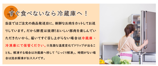 JAPAN X,ジャパンエックス,JAPAN X,生姜焼きセット,すぐ食べないなら冷蔵庫へ