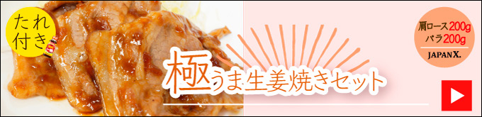 JAPAN X,ジャパンエックス,生肉のセット,生肉セット,すぐ使える＆食べ比べセット,