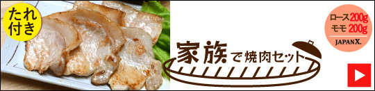 JAPAN X,ジャパンエックス,生肉のセット,生肉セット,すぐ使える＆食べ比べセット,