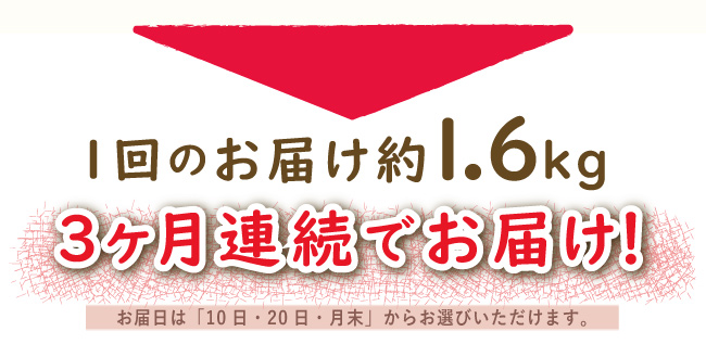 JAPAN X,ジャパンエックス,JAPAN X,定期便１.6kg×3ヶ月！,1回のお届け約1.6kg、3ヶ月連続でお届け！