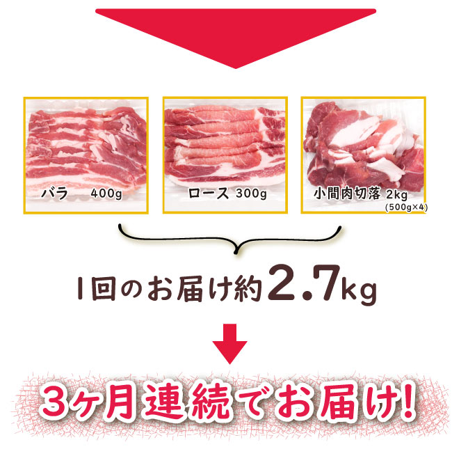 JAPAN X,ジャパンエックス,JAPAN X,定期便１.6kg×3ヶ月！,バラ400g,ロース300g,小間肉切り落とし500g,塩牛たん200g,味噌牛たん200g,1かいのお届け約１.6kgを3ヶ月連続でお届け！