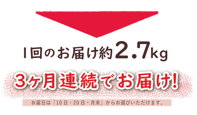 JAPAN X,ジャパンエックス,JAPAN X,定期便１.6kg×3ヶ月！,1回のお届け約1.6kg、3ヶ月連続でお届け！