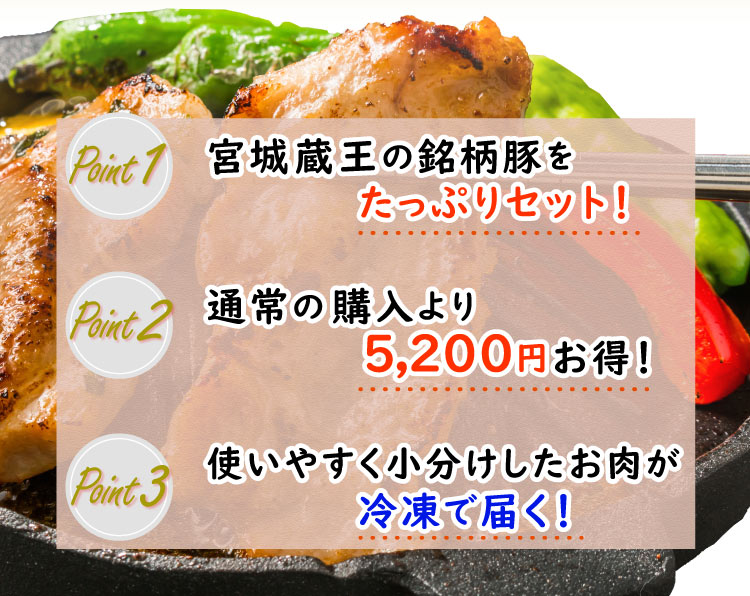 JAPAN X,ジャパンエックス,JAPAN X,定期便１.6kg×6ヶ月,たっぷりセット,通常より2、640円お得！,使いやすく小分けしたお肉が冷凍で届きます！