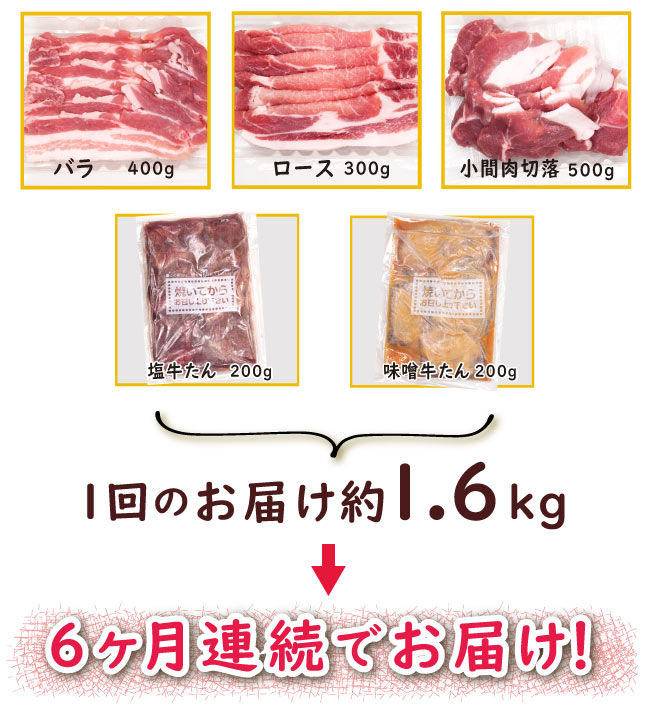 JAPAN X,ジャパンエックス,JAPAN X,定期便１.6kg×6ヶ月！,バラ400g,ロース300g,小間肉切り落とし500g,塩牛たん200g,味噌牛たん200g,1かいのお届け約１.6kgを6ヶ月連続でお届け！