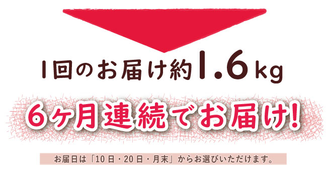 JAPAN X,ジャパンエックス,JAPAN X,定期便１.6kg×6ヶ月！,育ち盛りのお子さんに,焼肉パーティーに,ストックしておけば便利