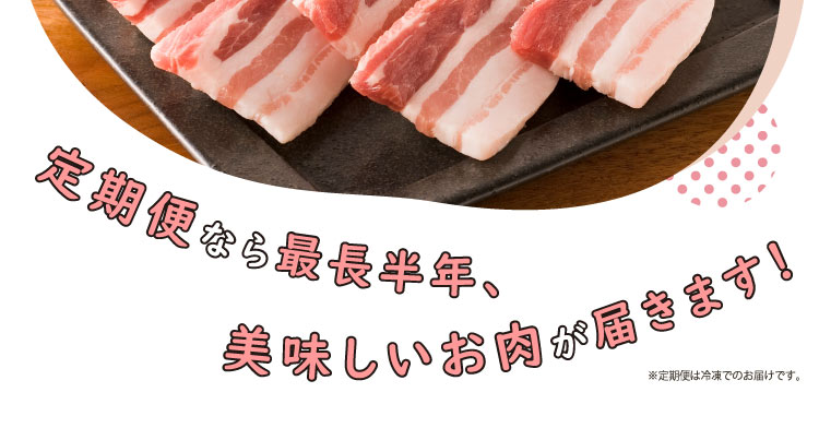 JAPAN X,ジャパンエックス,定期便,選べる2種類,定期便なら最長半年美味しいお肉が届きます！定期便は冷凍でのお届けです