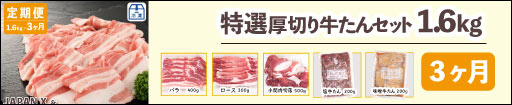 JAPAN X,ジャパンエックス,定期便,選べる2種類,特選厚切り牛たんセット1.6kg 3ヶ月定期はこちら