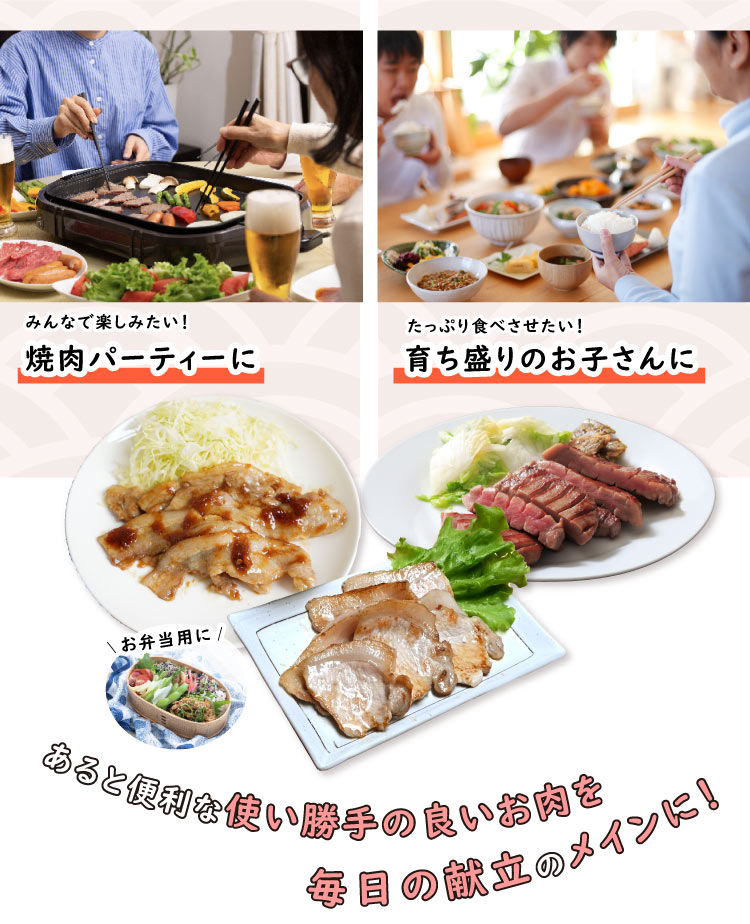 JAPAN X,ジャパンエックス,定期便,選べる2種類,みんなで楽しみたい、焼肉パーティに、たっぷり食べさせたい！育ち盛りのお子さんに、あると便利な使い勝手の良いお肉を、毎日の献立のメインに！
