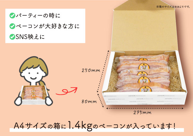JAPAN X,ジャパンエックス,JAPAN X,贈答用ベーコン1500g,1.5kg,A4サイズの箱に1.4kgのベーコンが入っています