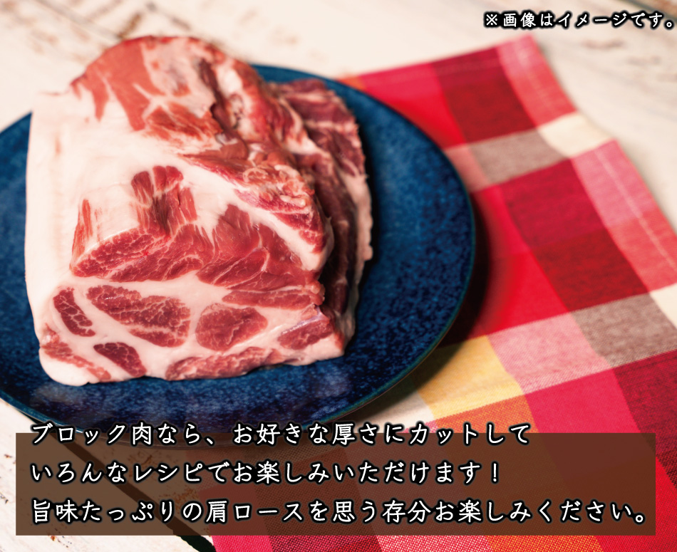 JAPAN X,ジャパンエックス,肩ロースブロック肉,肩ロース,ロース,豚肩ロース,塊肉,ロース塊肉,500g,
