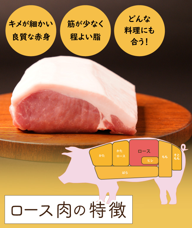 JAPAN X,ジャパンエックス,ロースブロック肉,ロース,豚ロース,塊肉,ロース塊肉,500g,キメが細かく柔らかい,脂に旨味があります,筋が少なく火を通しても固くなりにくいのが特徴,いろんな食べ方が楽しめます,