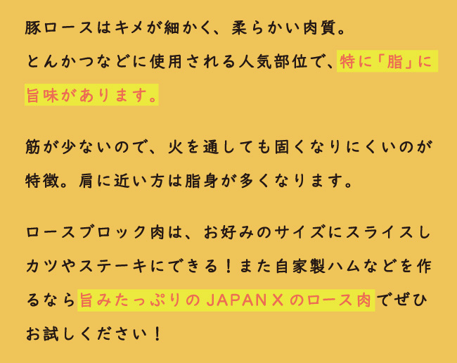 JAPAN X,ジャパンエックス,ロースブロック肉,ロース,豚ロース,塊肉,ロース塊肉,500g,