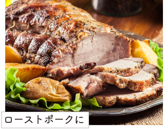 JAPAN X,ジャパンエックス,ロースブロック肉,ロース,豚ロース,塊肉,ロース塊肉,500g,