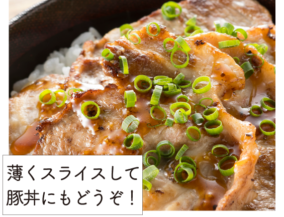 JAPAN X,ジャパンエックス,ロースブロック肉,ロース,豚ロース,塊肉,ロース塊肉,500g,